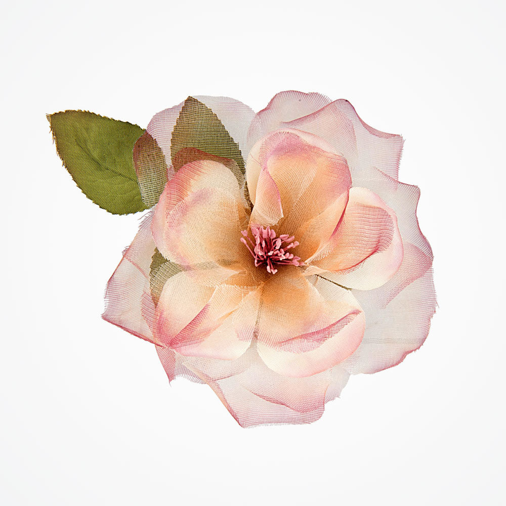 collection-banner-image